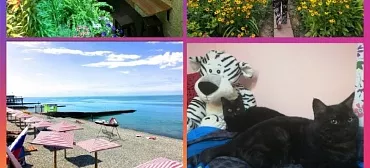 Частный сектор "Лилу" 10мин до моря