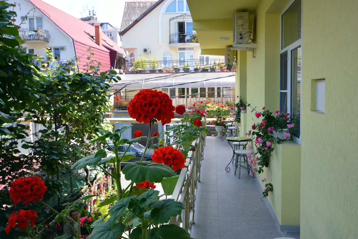 . Гостевой дом «Уют» - Адлер. Адлер