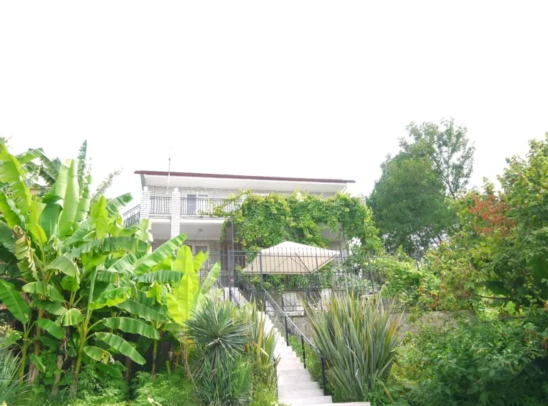 . Гостевой дом "Адлерский Бриз". Адлер