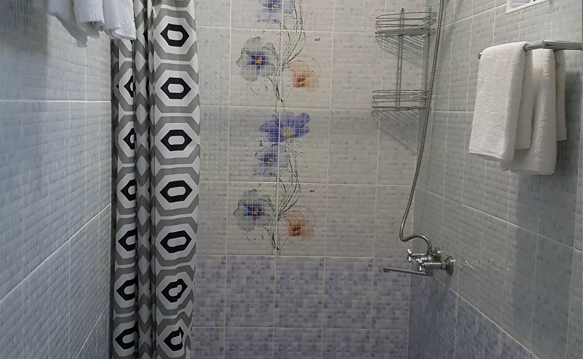 Стандарт на 4-х. Гостевой дом "LION". Лазаревское Стандарт на 4-х. Гостевой дом "LION". Лазаревское