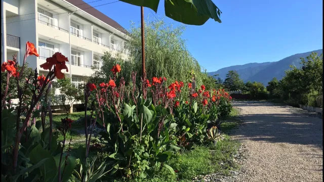 . Гостиница «Святая Абхазия». Пицунда