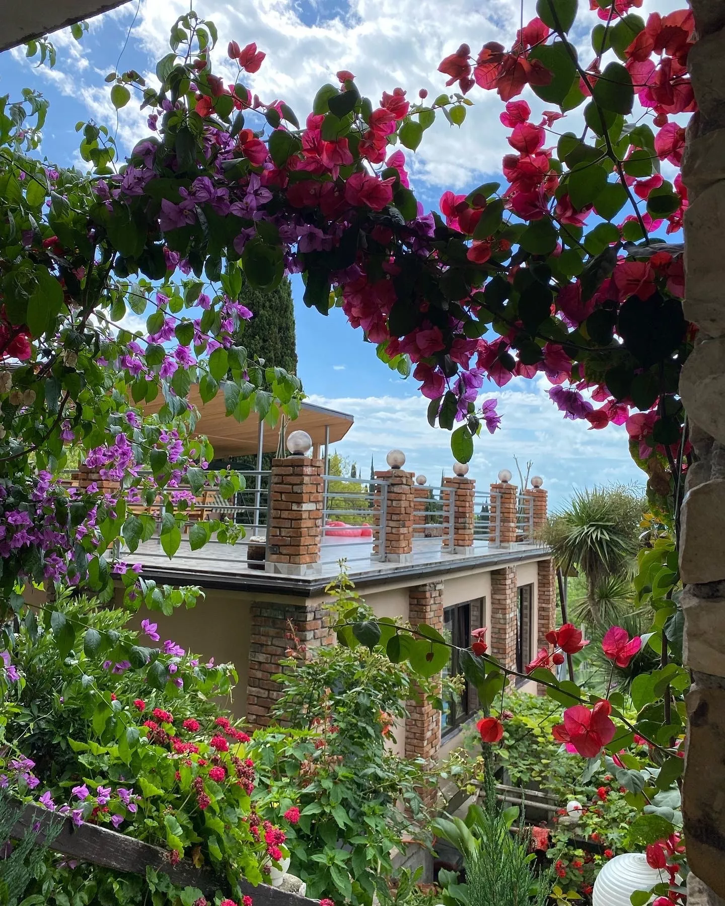 . Гостевой дом Эль Платано. Новый Афон