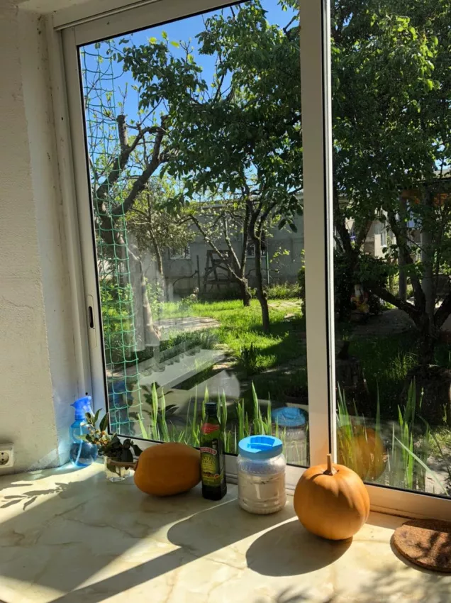 . Гостевой дом "Green House". Вишневка