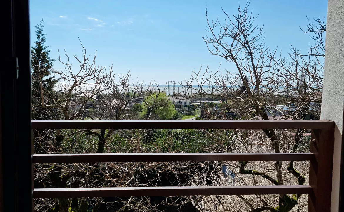 3х местный номер с балконом. Гостевой дом "Цитрус". Цандрипш