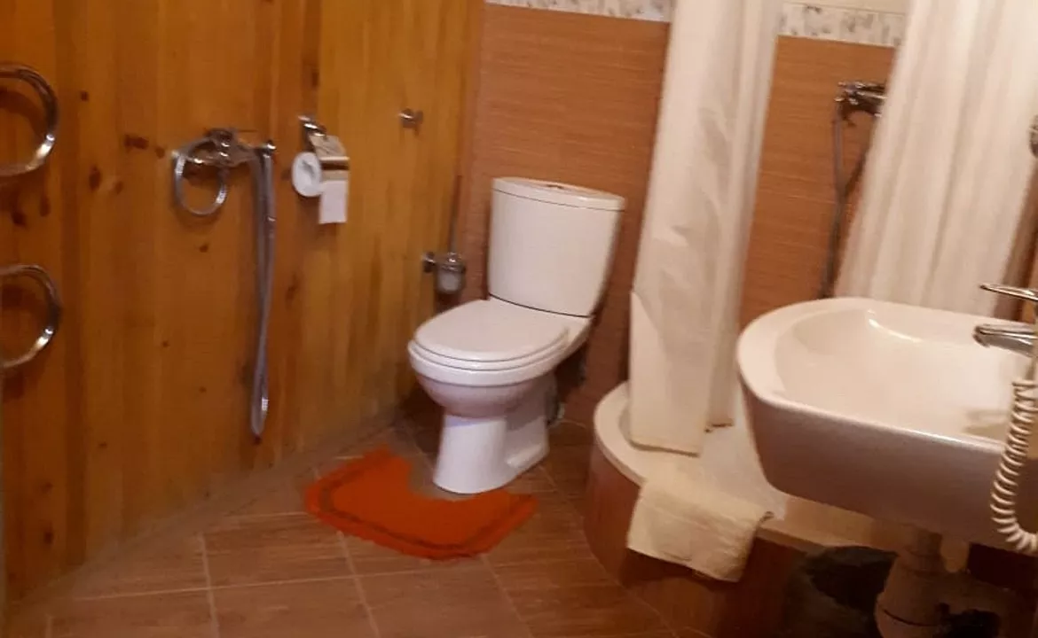 Двухместный номер с большой кроватью. Гостевой дом Родник. Красная Поляна