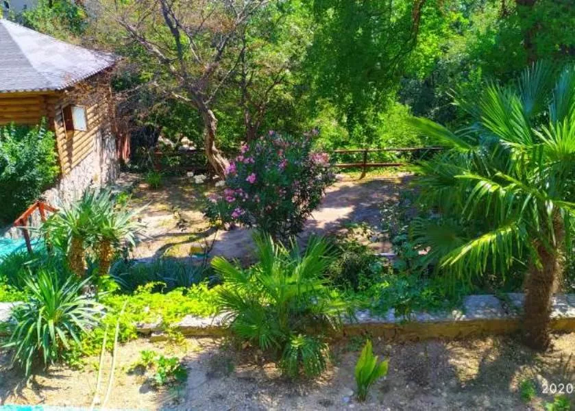 . Гостевой дом Сувенир. Гаспра