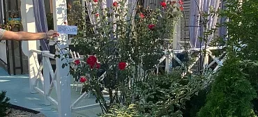 Гостевой дом Миндаль