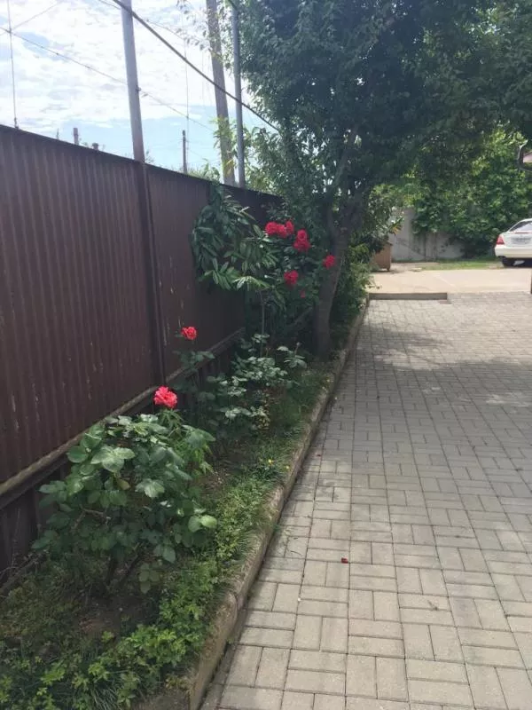 . Гостевой дом "Киараз" . Гудаута