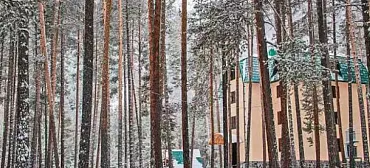 Отель «Сосновый бор» Отель «Сосновый бор»