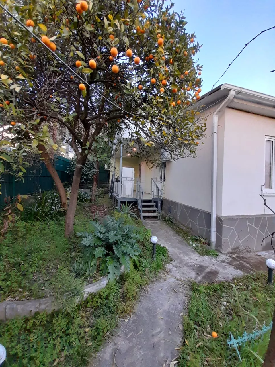 . Частный сектор Зеленый дворик - Гагра. Гагра