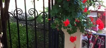 Гостевой дом "АТикА"