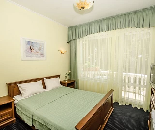 Мечта-1: номер 