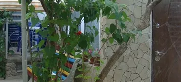 Частный сектор Александра