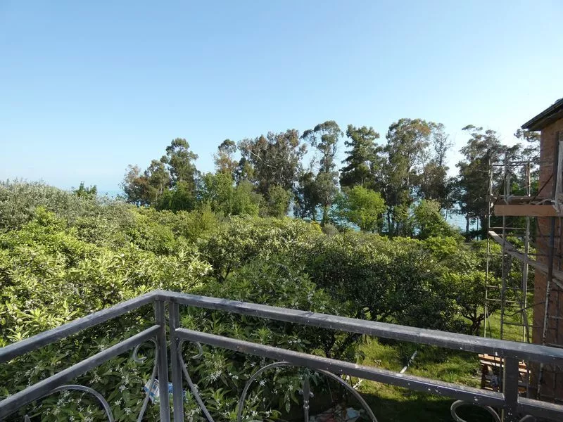 . Гостевой дом "Феникс". Новый Афон