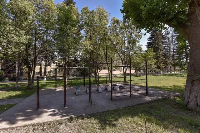 . База отдыха "Платан". Лазаревское . База отдыха "Платан". Лазаревское