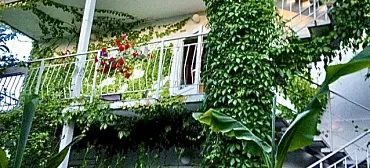 Гостевой дом "Green House"