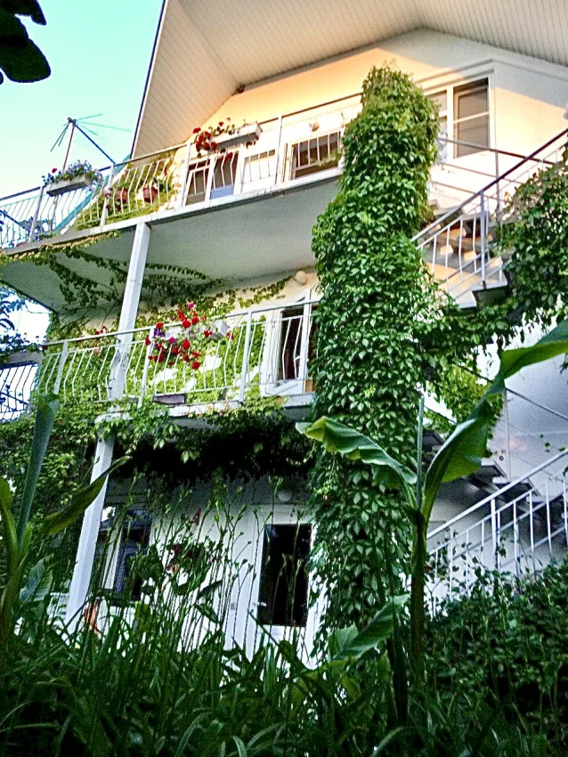 . Гостевой дом "Green House". Вишневка