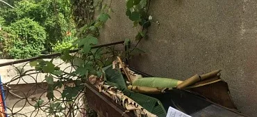 Дом под ключ "На Павлова" 