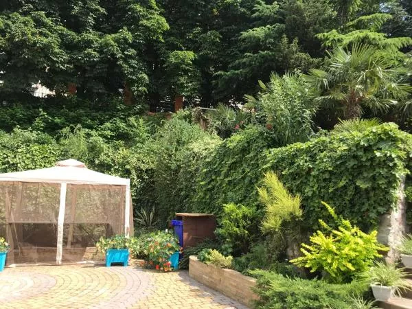 . Гостевой дом Гостевой дом «Floral Courtyard». Ялта
