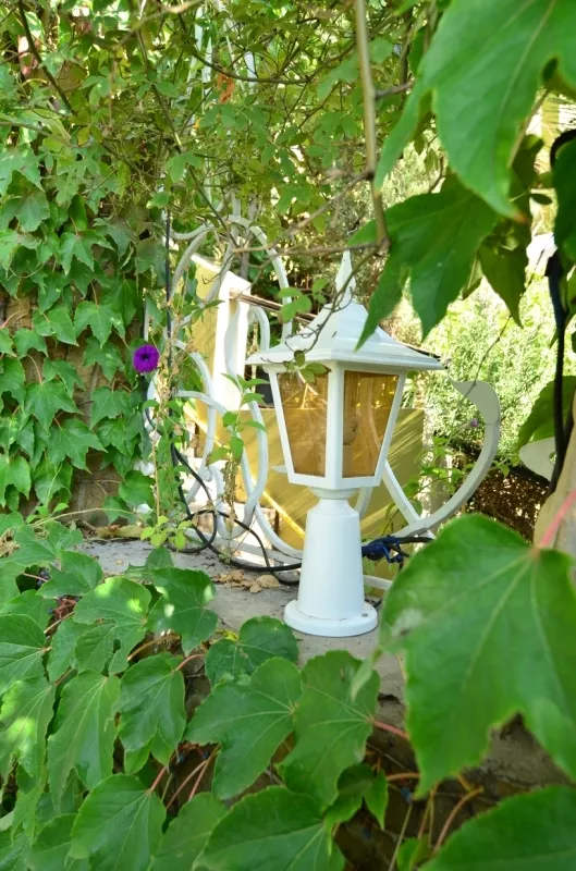 . Пансионат "Вилла-Луиза". Рыбачье