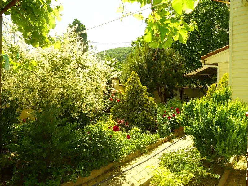 . Частный сектор "Цезарь". Архипо-Осиповка