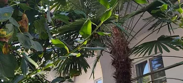 Частный сектор на Генерала Дбар 16