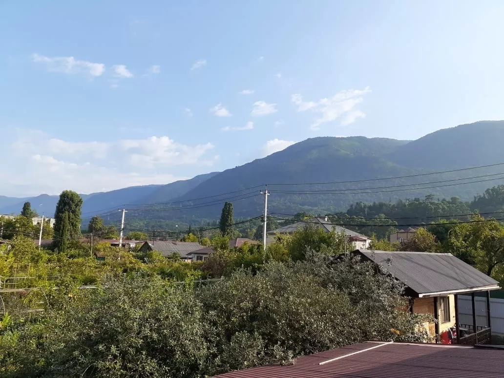 . "Delis" (Делис). Гагра