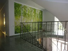 Отель "Felix"   Отель "Felix"