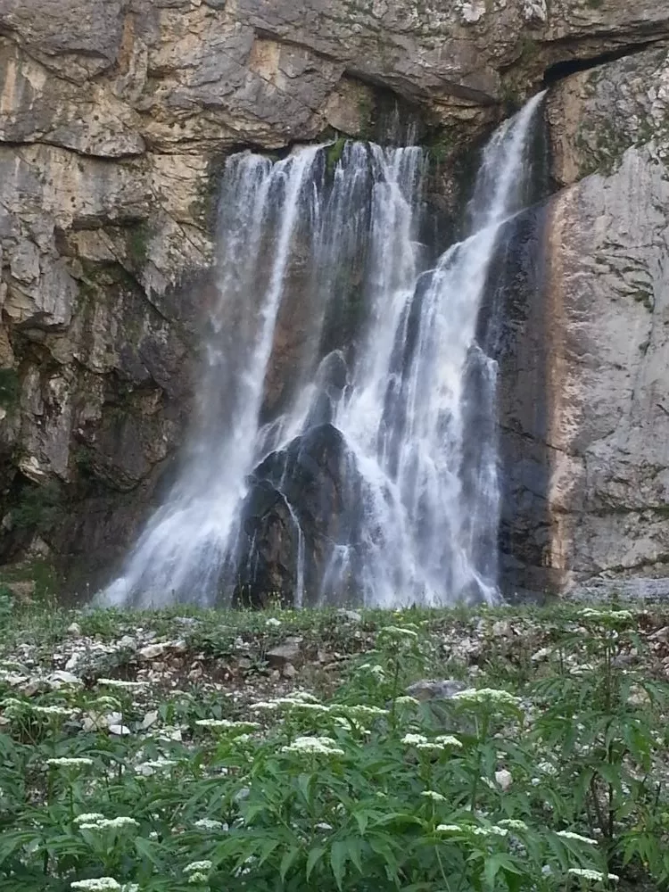 . Гостевой дом Siberia. Гагра