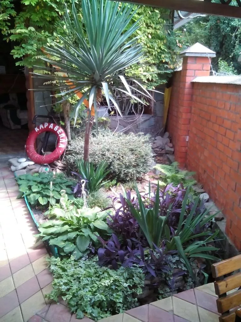 . Гостевой дом КАРАВЕЛЛА. Лазаревское