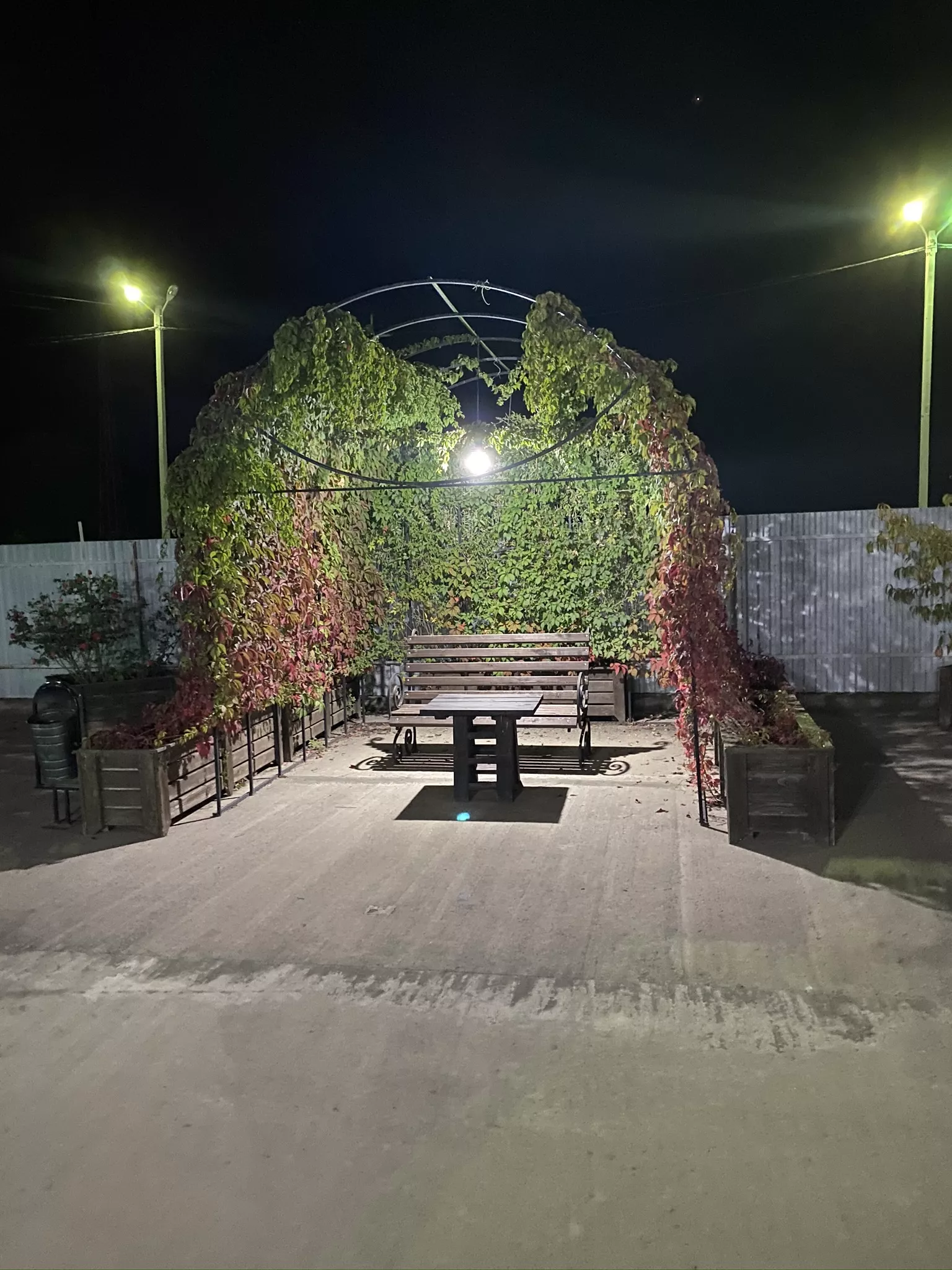 . База отдыха "Скурча". Сухум