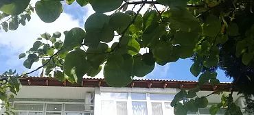 Частный сектор "В парке"