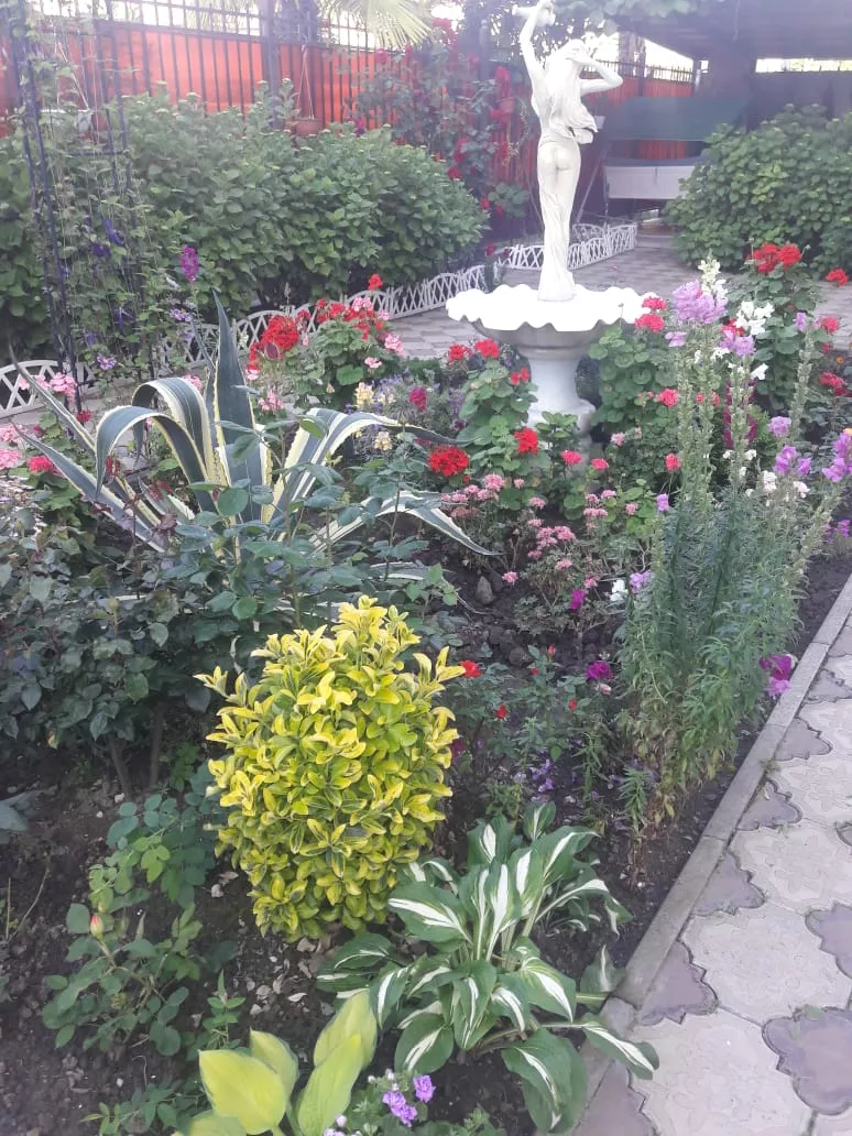 . Гостевой дом "Белый Замок". Лазаревское . Гостевой дом "Белый Замок". Лазаревское