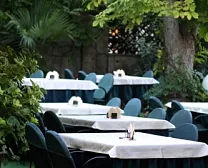 Гостиница «Аллигатор» Гостиница «Аллигатор»