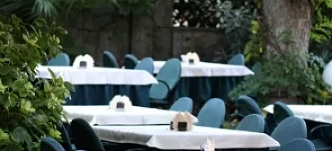 Гостиница «Аллигатор»