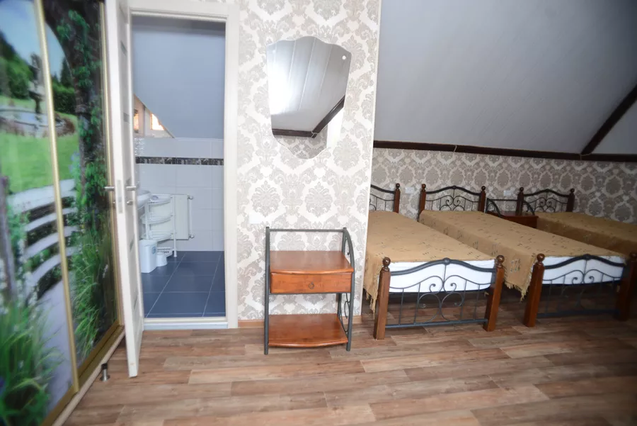 Полулюкс. Гостевой дом "Роман". Чайка