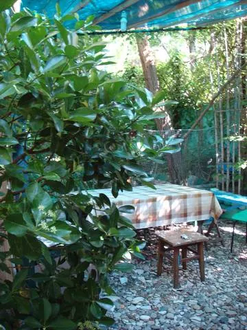 . Гостевой дом "Райский сад". Шепси . Гостевой дом "Райский сад". Шепси