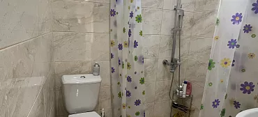 Дом под ключ Елена