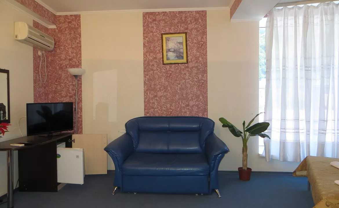 Полулюкс. Гостиница "Парадиз". Ольгинка