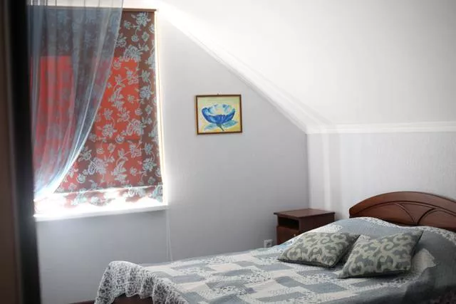 3х- местный. "Стрекоза". Сукко