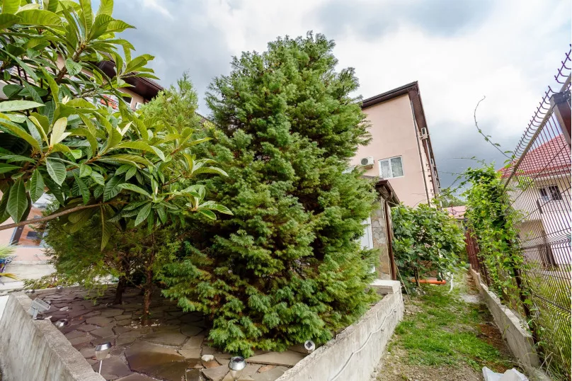 . Гостевой дом У Елены - Якорная Щель. Якорная Щель