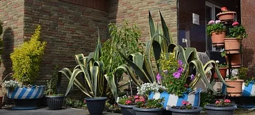 Гостевой дом "Джемма" 