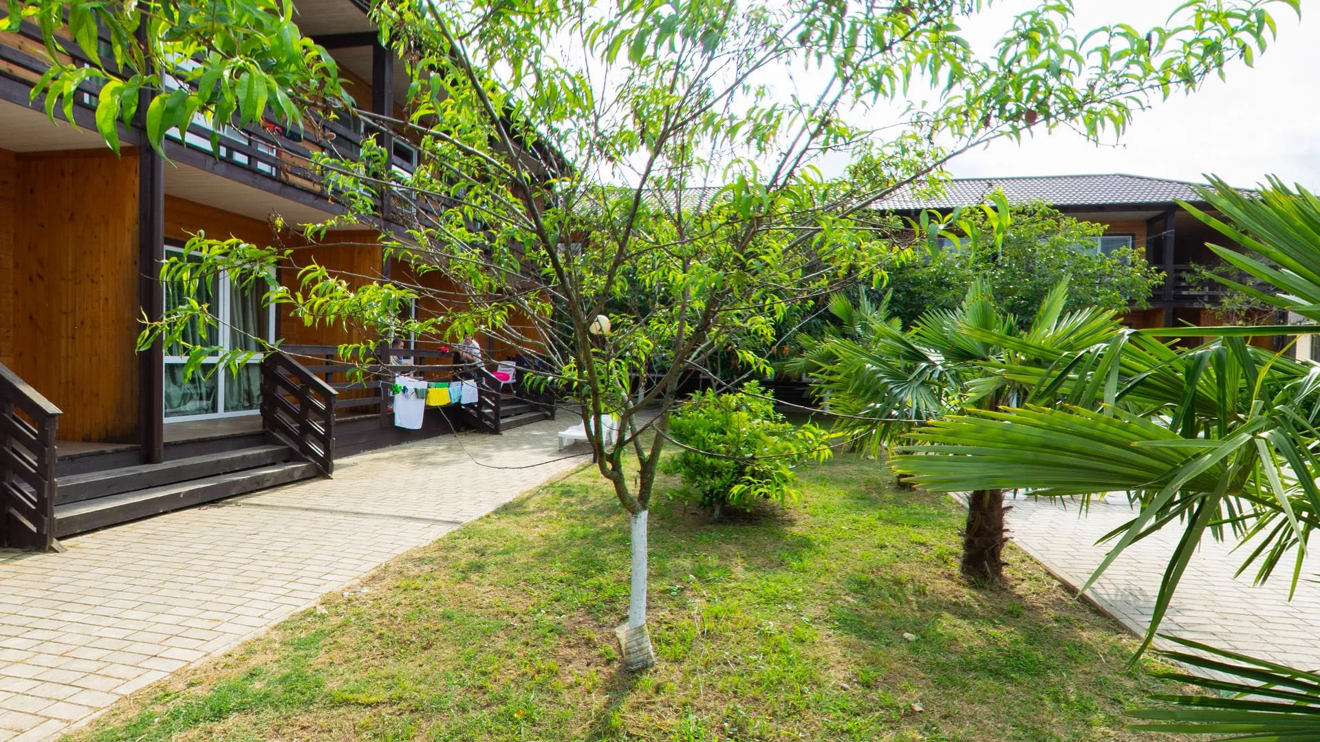 . Отель "Эко-Папа". Гудаута