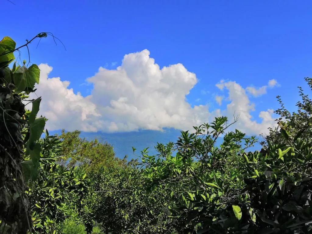 . Частный сектор "У Або" . Гагра