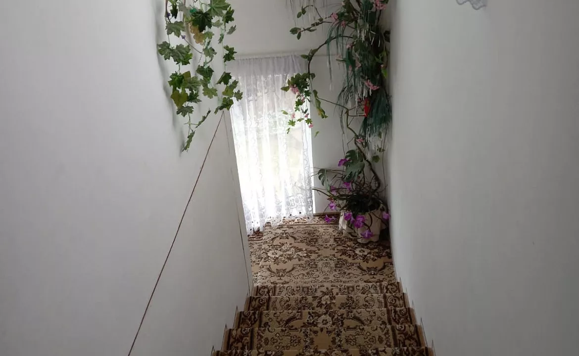 Комната. Гостевой дом "Ласточка" - Лоо. Лоо Комната. Гостевой дом "Ласточка" - Лоо. Лоо