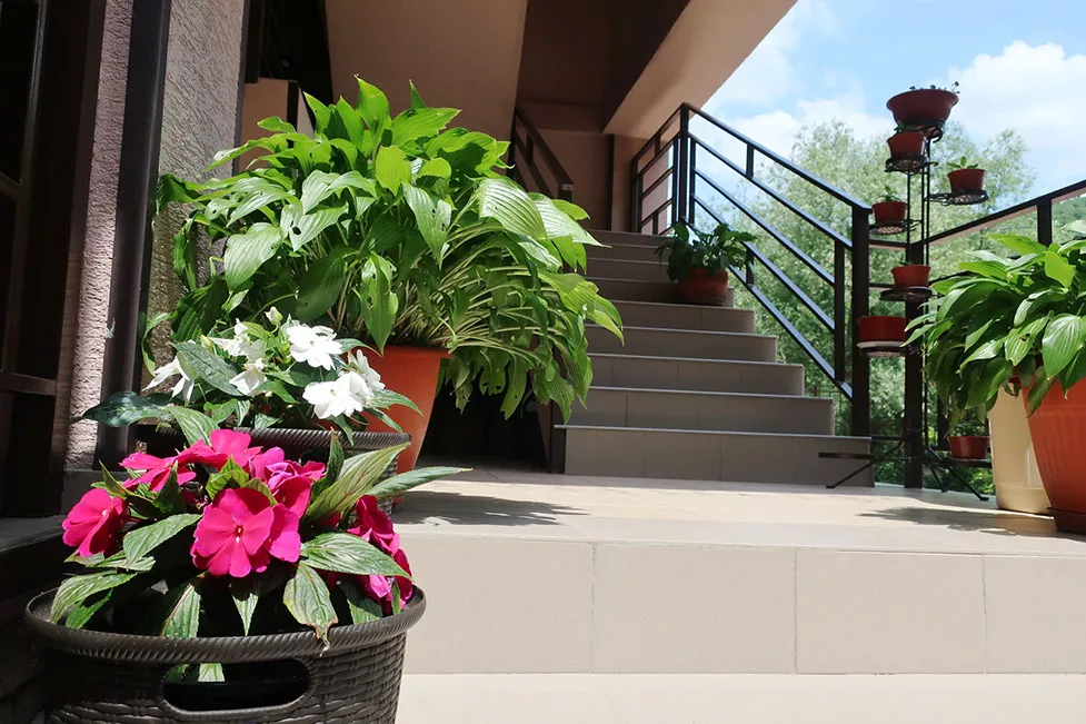 . Гостевой дом «Шоколад»    . Ольгинка