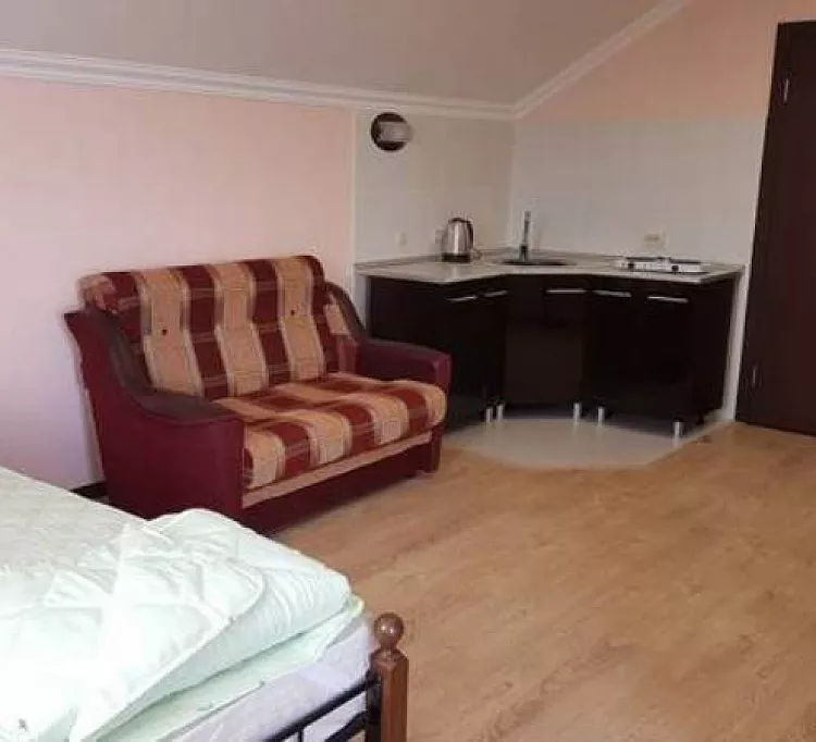 Студия. Частный гостевой дом Боярский дом на Темрюкской. Голубицкая