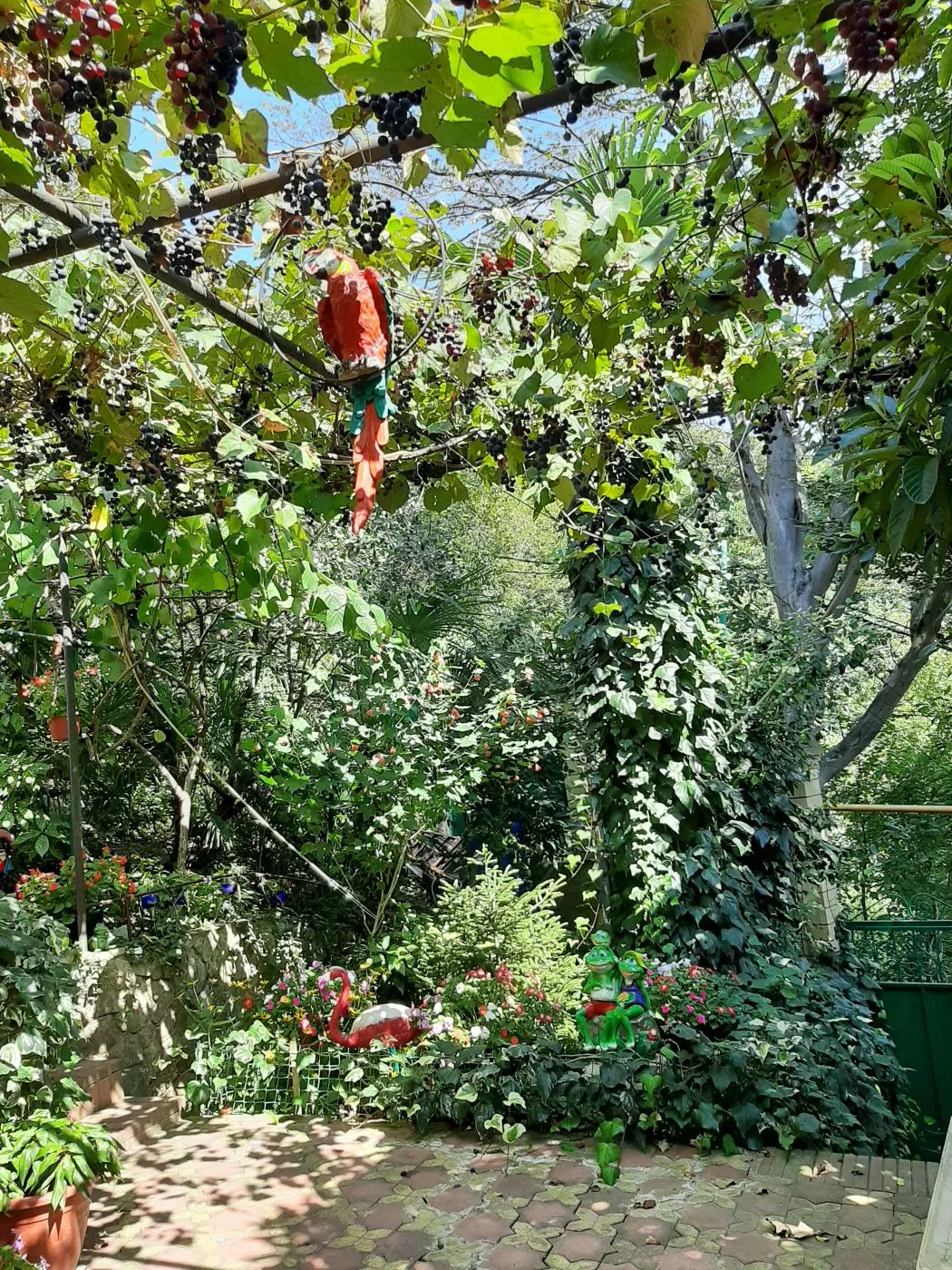 . Частный сектор "Райский уголок" - Хоста. Хоста