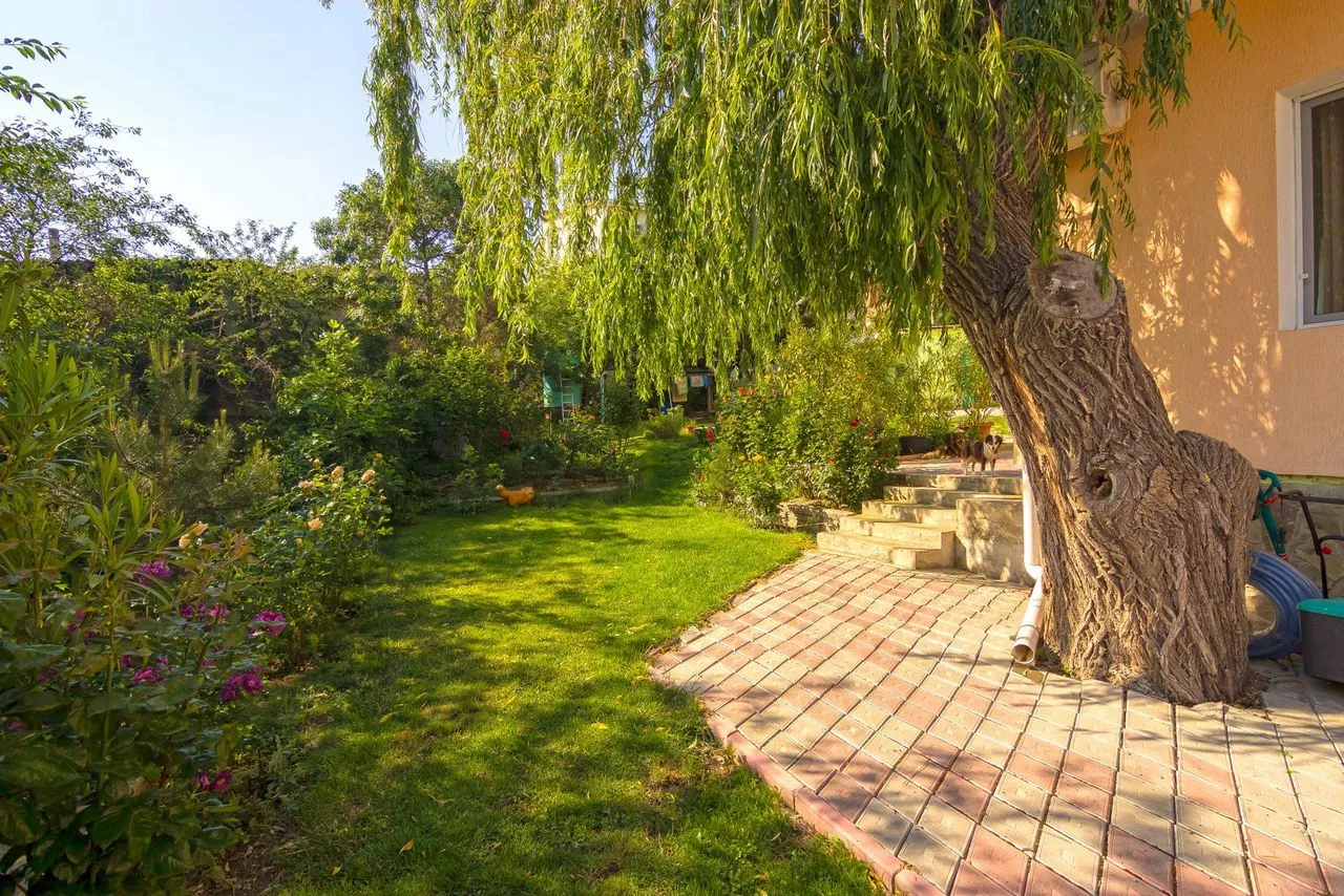 . Гостевой дом "МоревдоМ". Коктебель