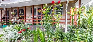 Частный сектор Валентина - Головинка